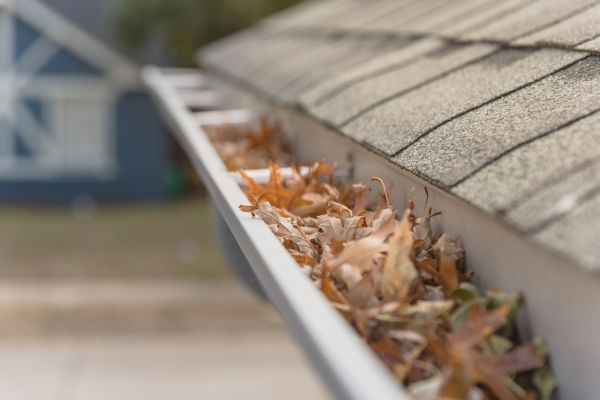 Leaf Barrier Installation in Bothell
